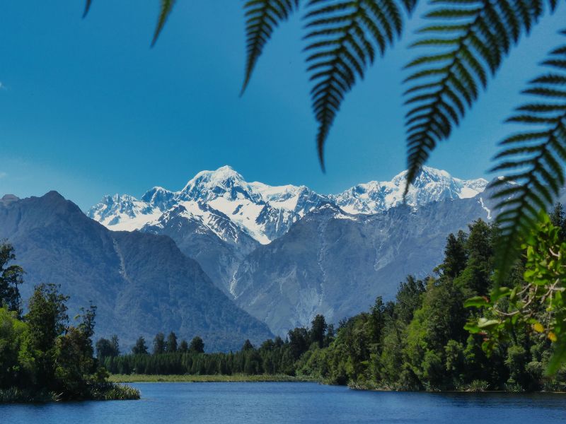 Những lý do nên lựa chọn du học New Zealand